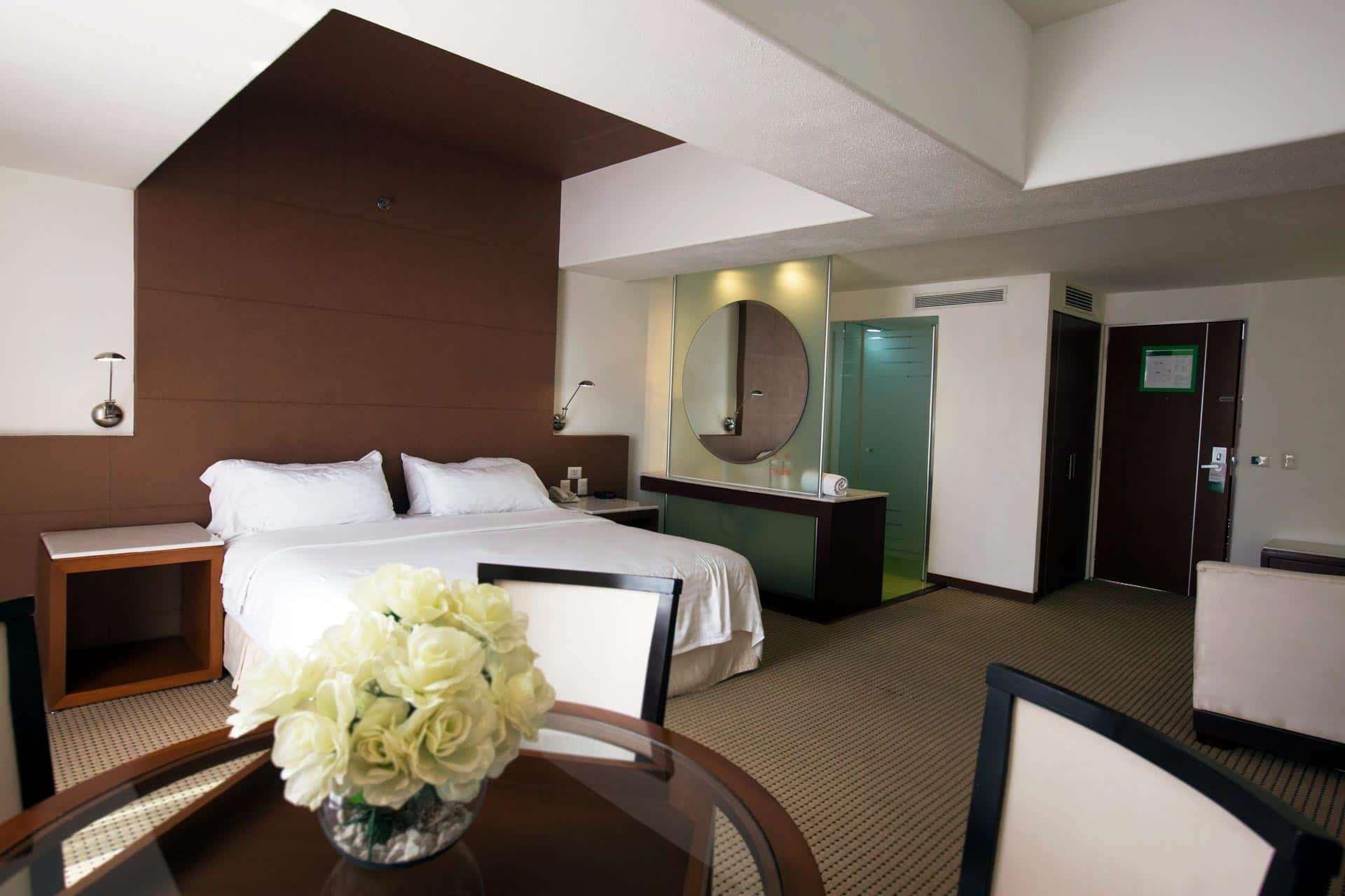 Hotel & Suites Bel Air Business Salamanca Eksteriør bilde